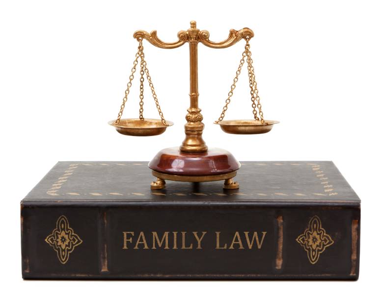 Are Family Law Mediators Among The Most Well Compensated Legal Professionals?