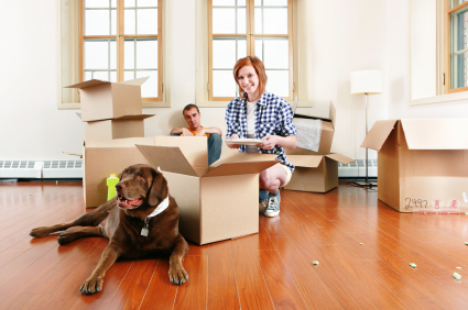 Selecting A Removal Firm To Move With Your Pet To Hungary