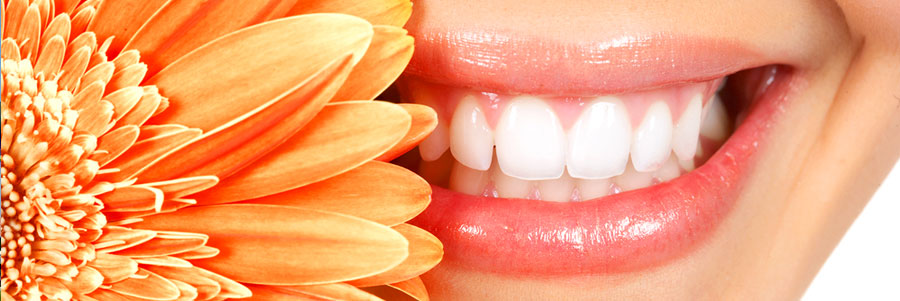 Things You Should Know About Every Calgary Denture Clinic