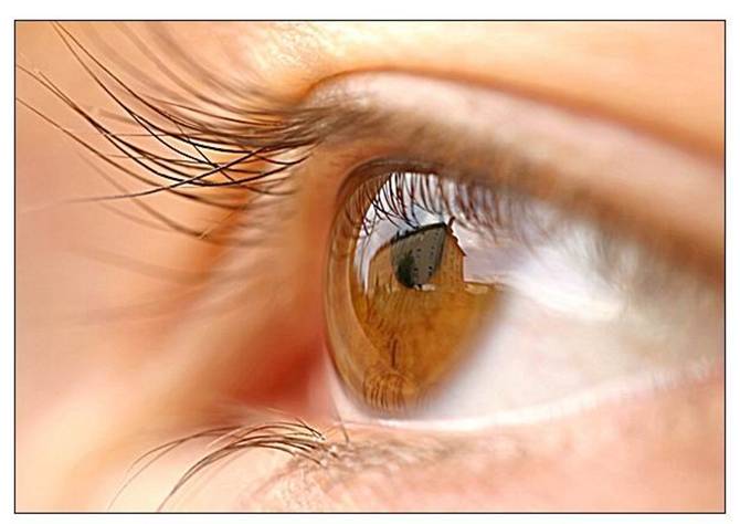 Learn How To Improve Your Eyesight Naturally