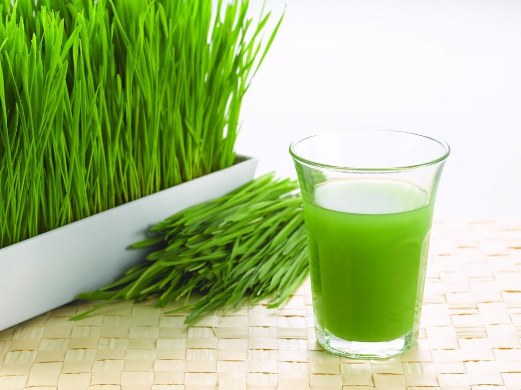 How To Do A Wheatgrass Detox Diet