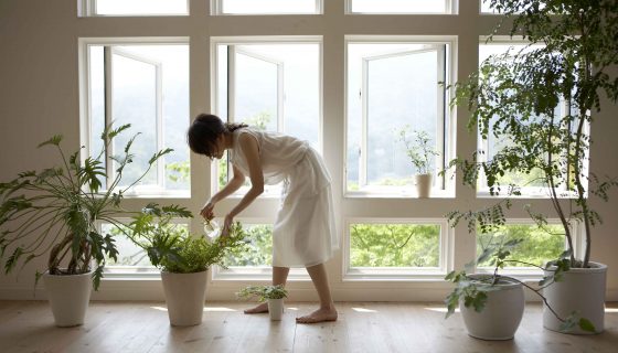 7 Ways To Health-Proof Your Home