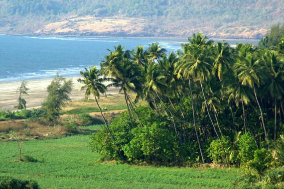 Hidden Gems Of Goa That No One Knows About