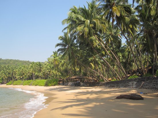 Hidden Gems Of Goa That No One Knows About