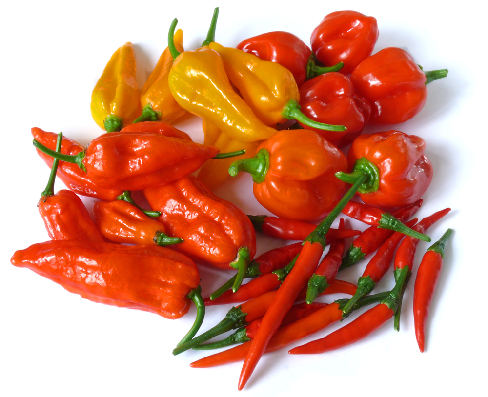 Hot Peppers and Their Health Benefits