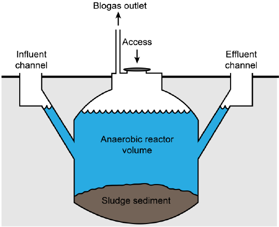 What Does A Biogas Generator Cost ?