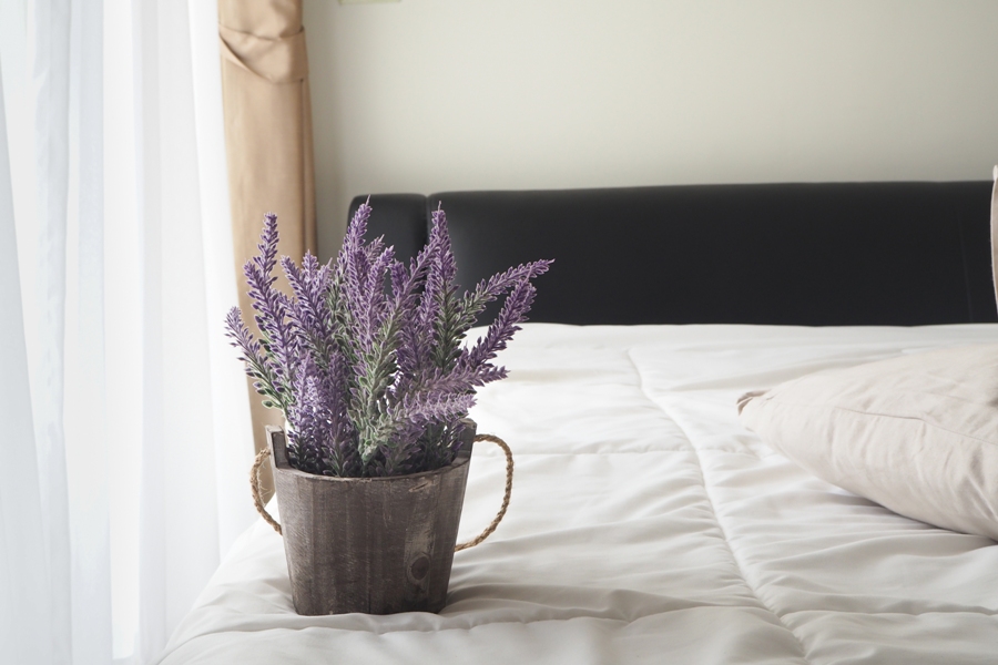 4 Plants For Your Bedroom That May Cure Insomnia