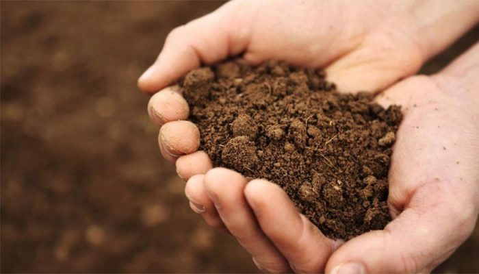 Soil Testing LABORATORY